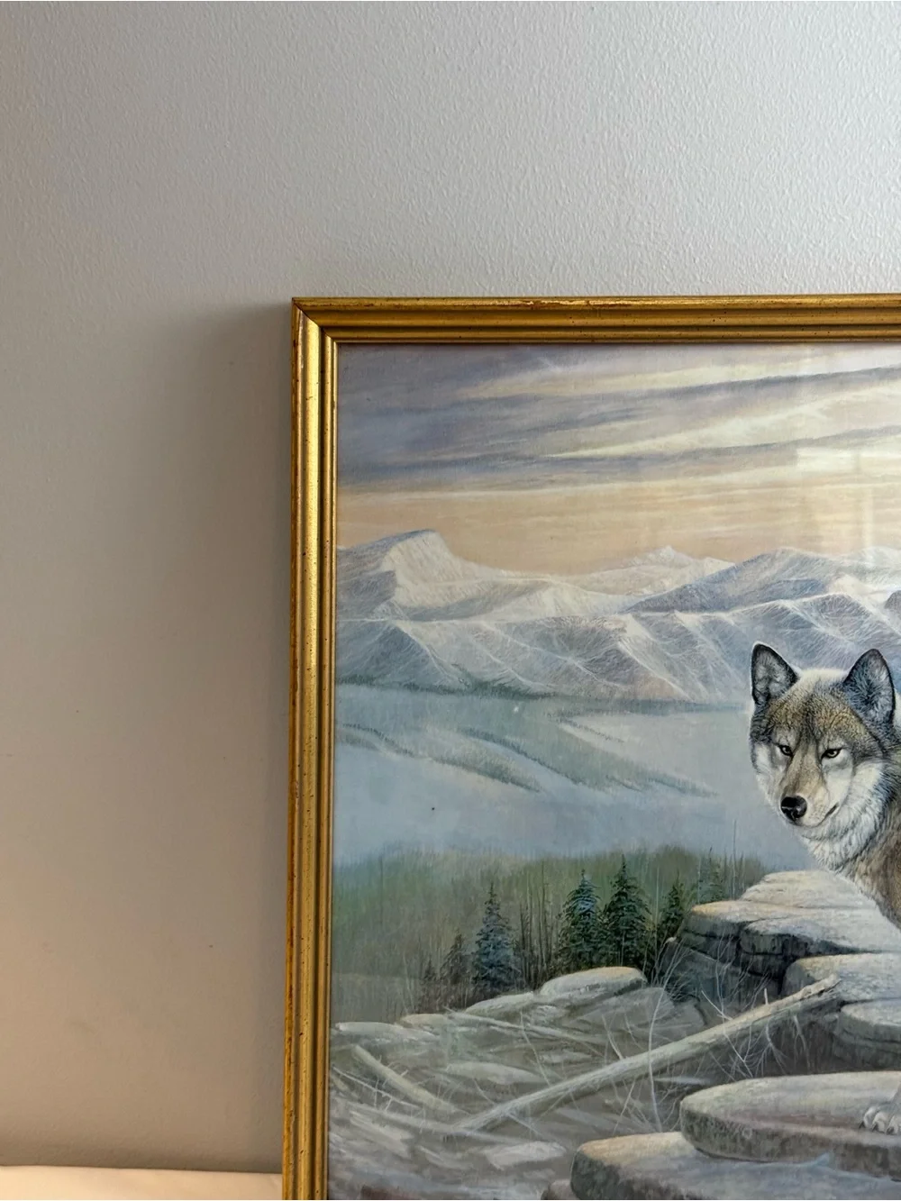 Ruane Manning striking wolf